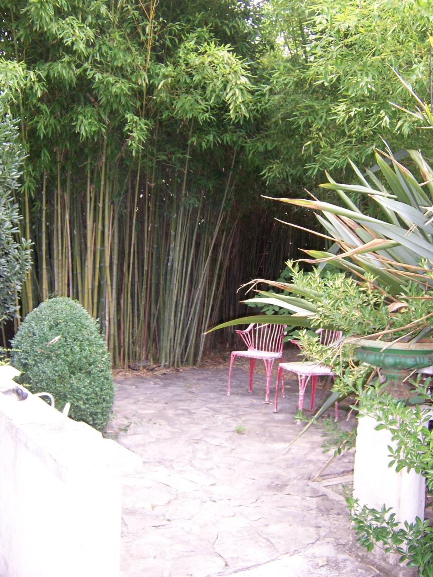 Campagne Hotel Montelimar Bagian luar foto