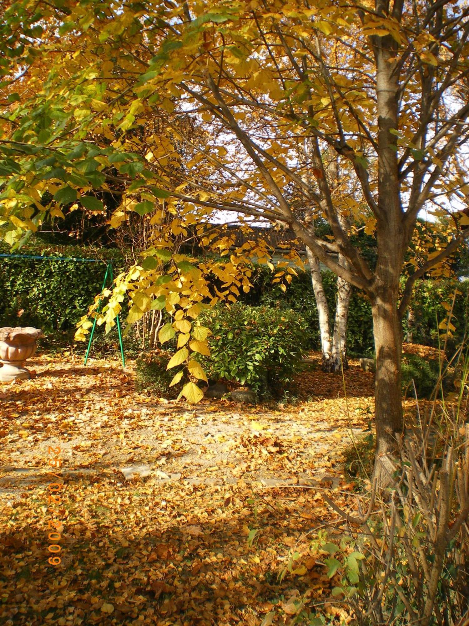 Campagne Hotel Montelimar Bagian luar foto