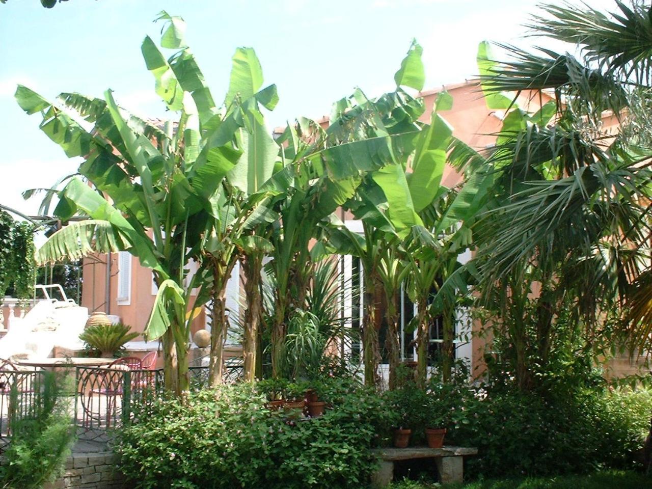 Campagne Hotel Montelimar Bagian luar foto